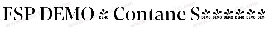 FSP DEMO - Contane S字体转换